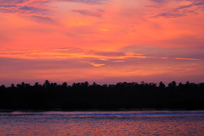 sunset pic mentawais islands palm trees